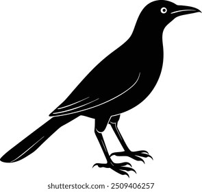 silhouette of a animal grackle bird vector