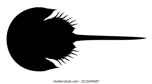 silhouette of an animal horseshoe crab vector illustration