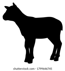 silhouette of an animal lamb vector illustration