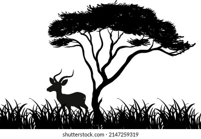 Silhouette animal in nature white background illustration