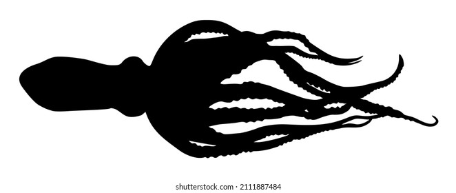 silhouette of an animal octopus  vector illustration