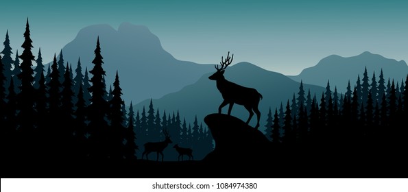 Silhouette animal on hill in the night