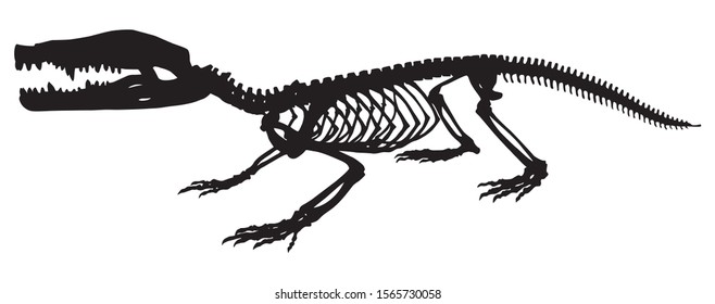 silhouette of animal skeleton of a crocodile vector illustration