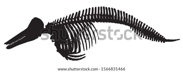 Silhouette Animal Skeleton Dolphin Vector Illustration Stock Vector ...