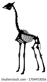 silueta de un esqueleto animal ilustración vectorial de jirafa