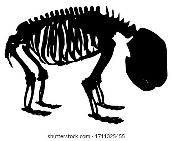 silueta de esqueleto animal de ilustración vectorial de panda
