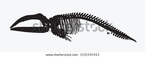 silhouette of animal skeleton a whale \
vector illustration