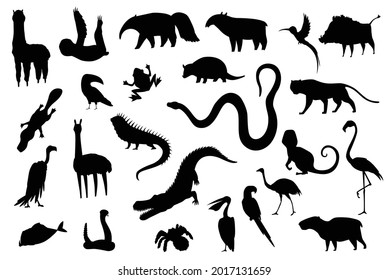 Silhouette animals of south america. Nature fauna collection. Geographical local fauna. Mammals living on continent. Vector illustration