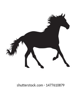 silhouette animals vector concept. horse silhouette design graphics.