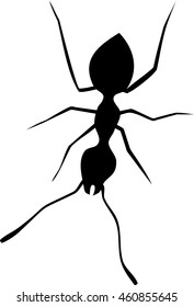 Silhouette of ant