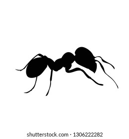 silhouette of an ant crawling, isolated, vector