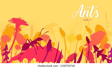 Silhouette ant creeps along the blade of grass in the bushes background. Life of insects in the wild illustration. Beauty macro world