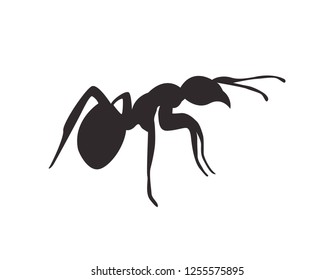 1,173 Ant side view Images, Stock Photos & Vectors | Shutterstock