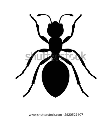 Silhouette of ant on white background.