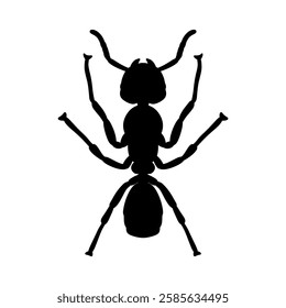 silhouette of an ant vector illustration isolated on white background.