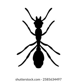 silhouette of an ant vector illustration isolated on white background.