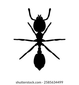 silhouette of an ant vector illustration isolated on white background.