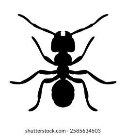 silhouette of an ant vector illustration isolated on white background.