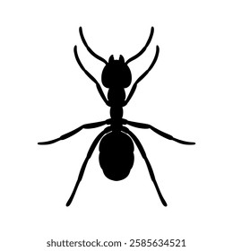 silhouette of an ant vector illustration isolated on white background.