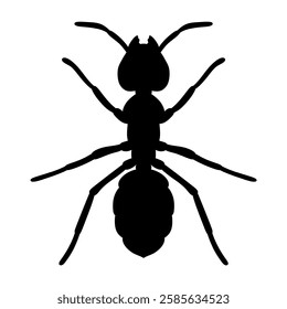 silhouette of an ant vector illustration isolated on white background.