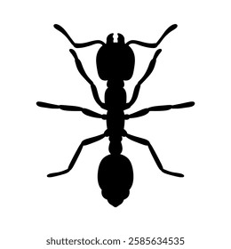 silhouette of an ant vector illustration isolated on white background.