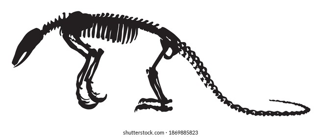 silhouette of an anteater animal skeleton vector illustration