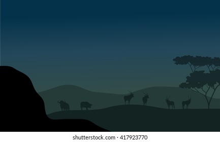 Silhouette of antelope and bison at the night