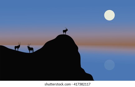 Silhouette of antelope in cliff with blue backgrounds