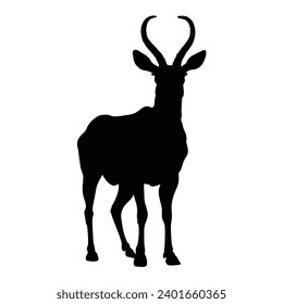 Silhouette of Antelope on White