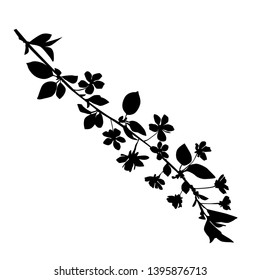 Silhouette of apple or cherry flower with leaf, branch  blossom, vector,  black color, isolated on white background