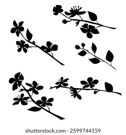 Silhouette of apple or cherry flower with leaf, branch  blossom, vector,  black color, isolated on white background