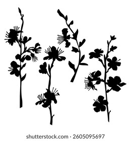 Silhouette of apple or cherry flower with leaf, branch  blossom, vector,  black color, isolated on white background
