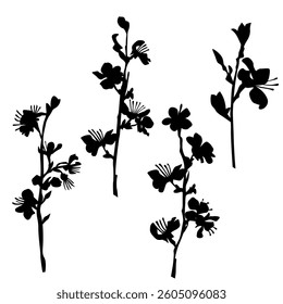 Silhouette of apple or cherry flower with leaf, branch  blossom, vector,  black color, isolated on white background