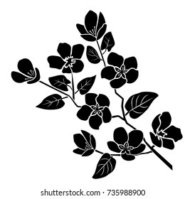 Silhouette of apple or cherry flower with leaf, branch  blossom,  black color, isolated on white background