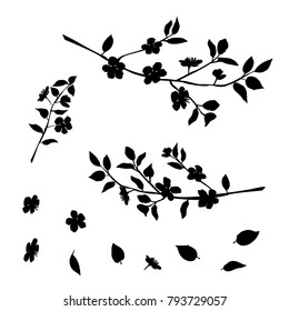 Silhouette of apple or cherry flower with leaf, branch  blossom,  black color, isolated on white background