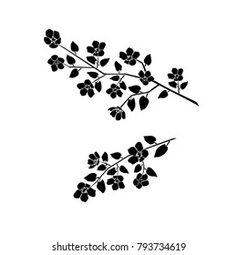 Silhouette of apple or cherry flower with leaf, branch  blossom,  black color, isolated on white background