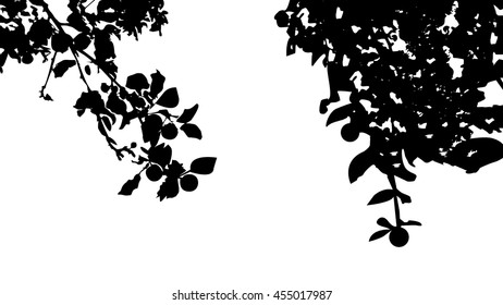 Silhouette of apple tree. Can be used as poster, badge, emblem, banner, sign, decor, icon...
