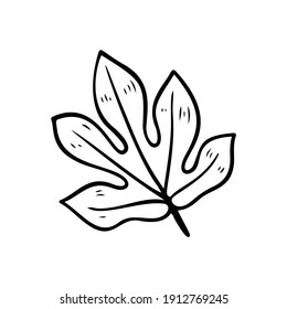 Silhouette of Aralia leaves. Tropical plant floral doodle element. Outline Aralia hawaiian leaf. Hand drawn palm and foliage icon. Vector illustration isolated on white background.Exotic floral sketch