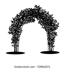 silhouette arch with bush clematis and green leaves on white background