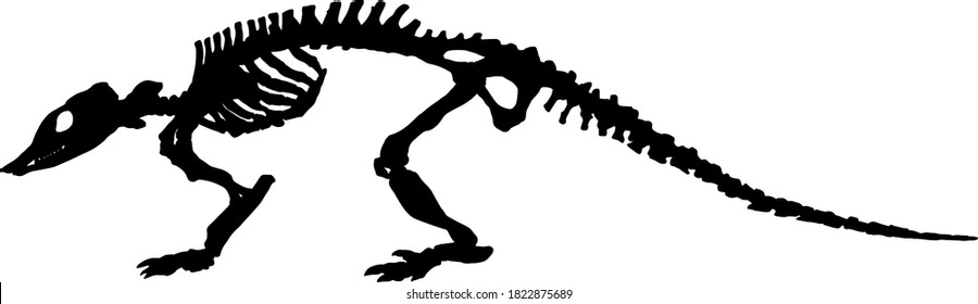 Silhouette of an armadillo skeleton for Halloween mascot. Vector illustration.