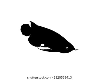 Silhouette of the Arowana or Arwana also known as Dragon Fish, for Art Illustration, Logo Type, Pictogram, Website or Graphic Design Element. Vector Illustration