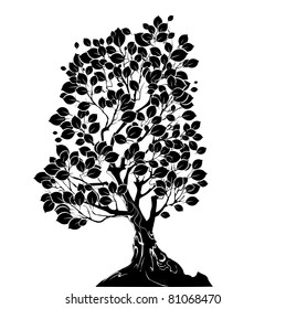 silhouette art drawn deciduous tree on a white background.