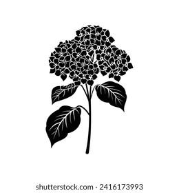 Silhouette art of hydrangea flower isolated