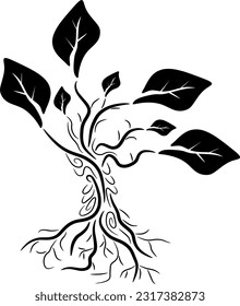 silhouette of an artistic and mystic wild small tree isolated on white
