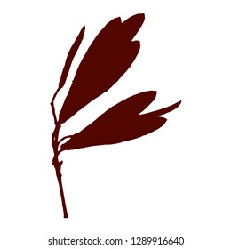 Silhouette of ash seeds. Close-up. A branch with pimples. Vector isolated illustration Dark red color. A branch with seeds. Isolated background of streakhok with seeds.