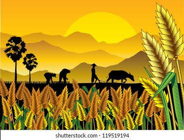 Silhouette of Asian farmers working at rice field, vector