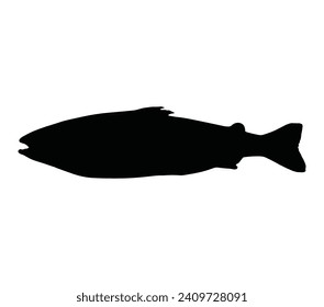 Silhouette of atlantic salmon. Hand drawn vector illustration of fish isolated on white background.