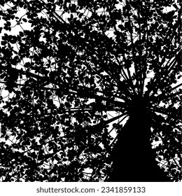 silhouette of autumn leaves view from below, looking up. isolated on transparent background