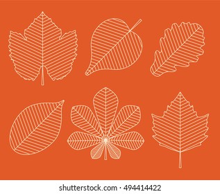 Silhouette of autumn vector leaves
