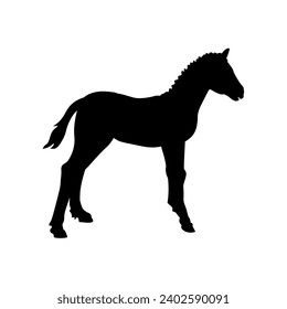 Silhouette of a baby horse. Cute foal. A little colt. Young pony. Vector illustration isolated on a white background.